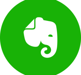 Logo Evernote - Logo d'une tête d'éléphant stylisée blanche avec une trompe enroulée à l'intérieur d'un cercle vert vif, représentant l'application Evernote.